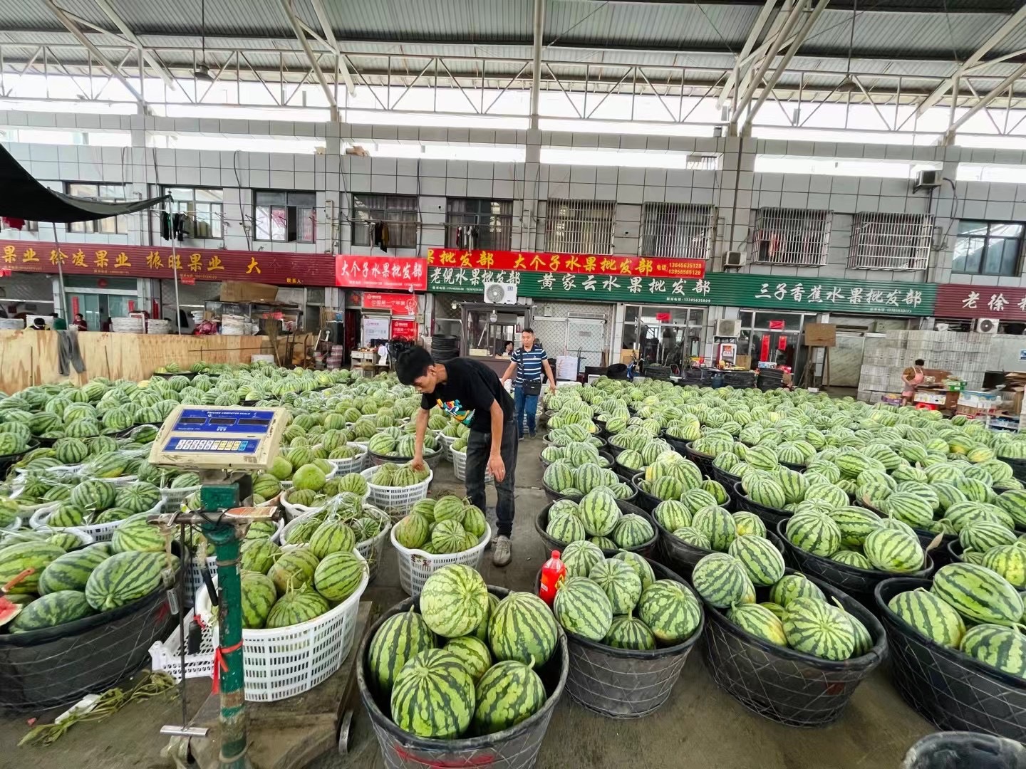 大个子水果批发(宣城农副产品批发市场店)