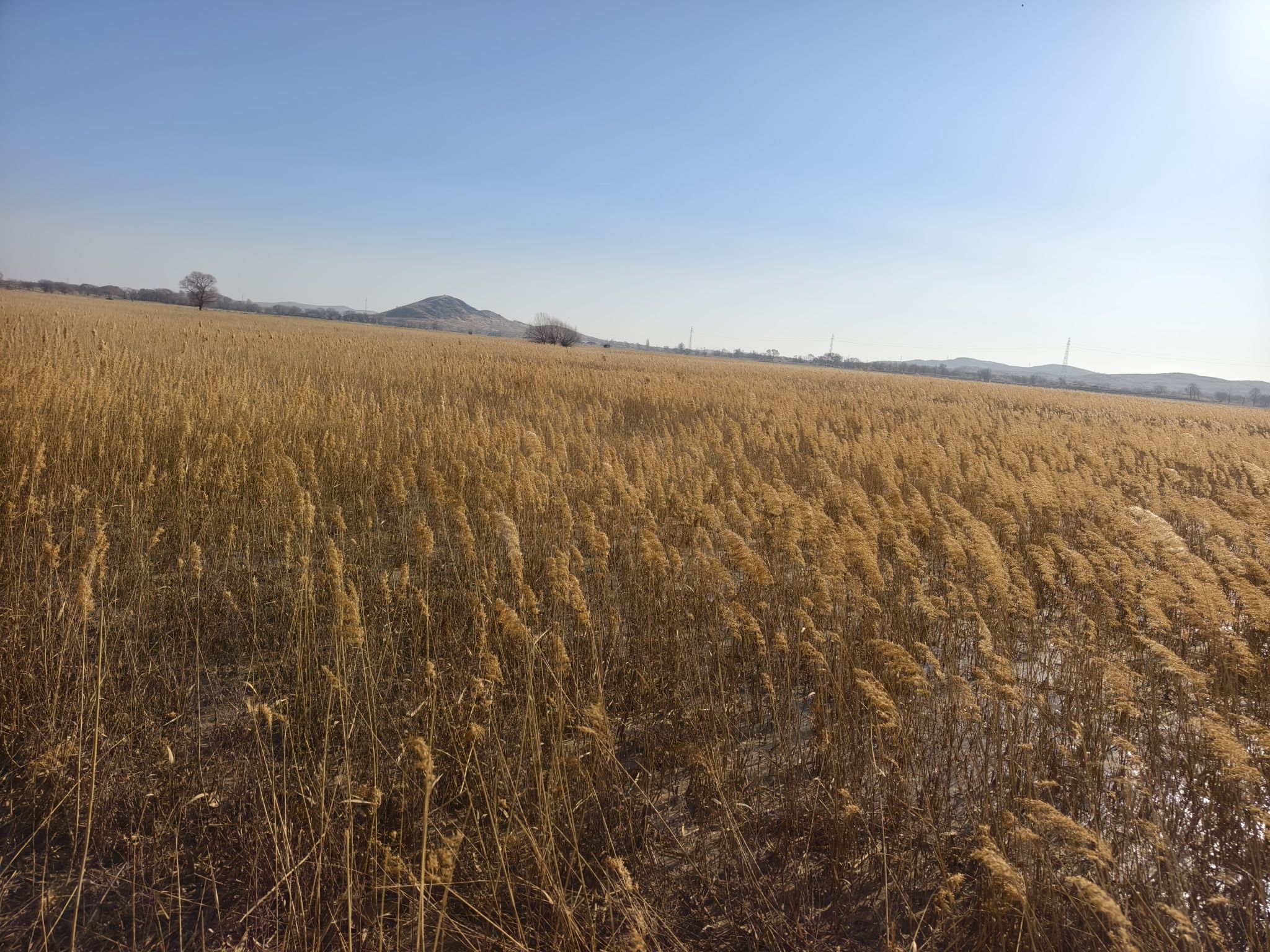 敖汉八千年乌它山牧场旅游区旅行图片 1