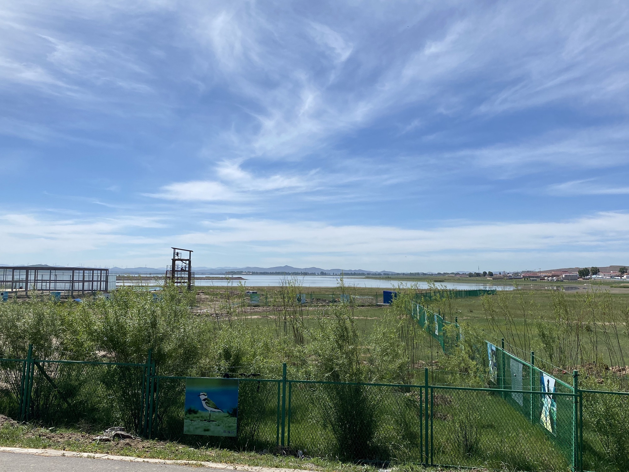 闪电河国家湿地观鸟园旅行图片 3