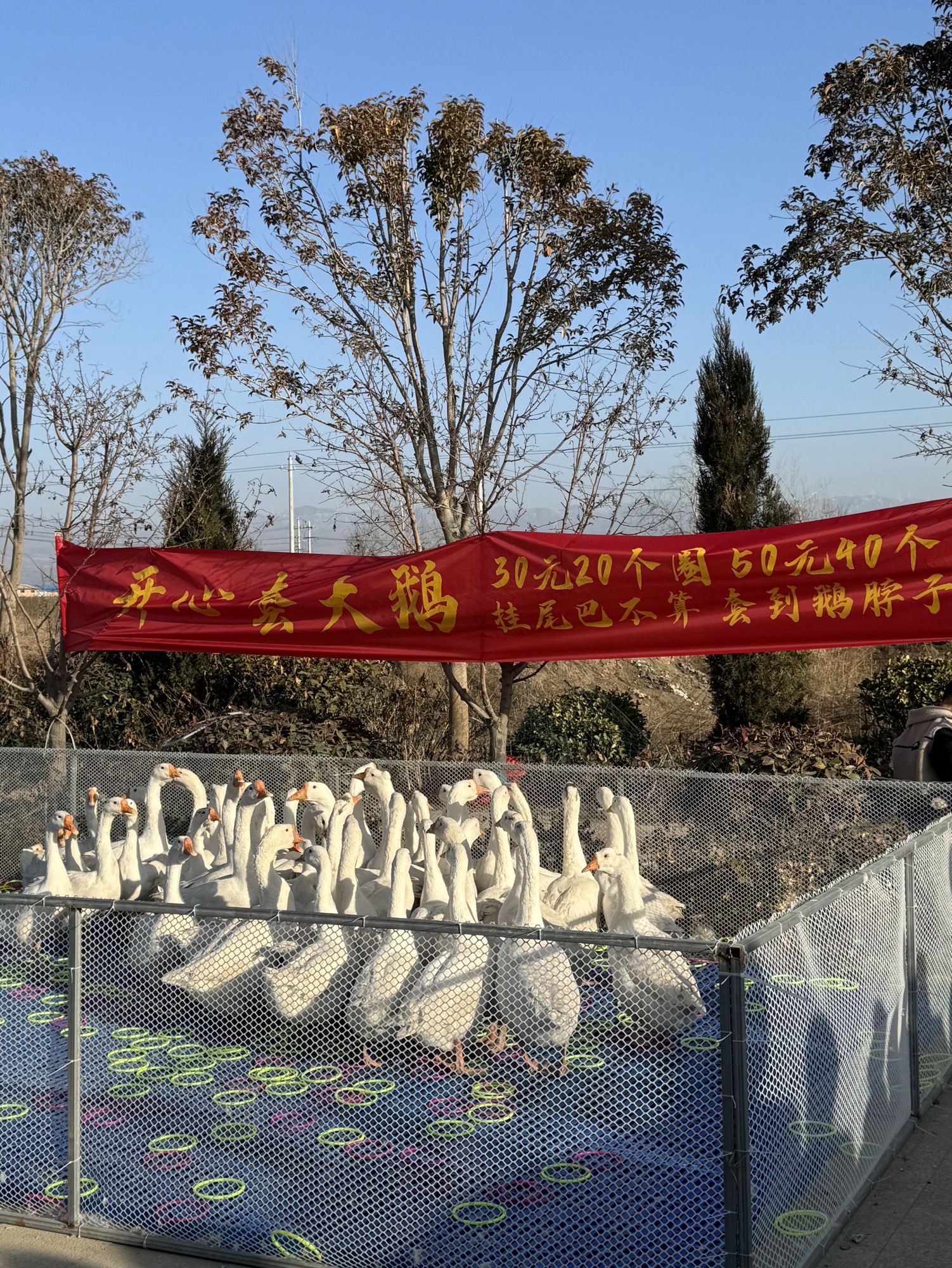 禹王城遗址旅行图片 3
