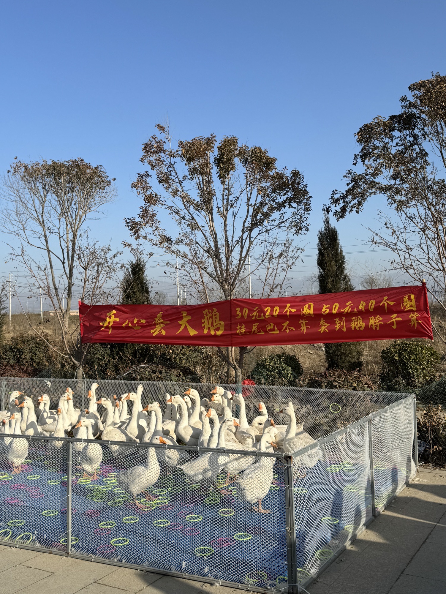 禹王城遗址旅行图片 1
