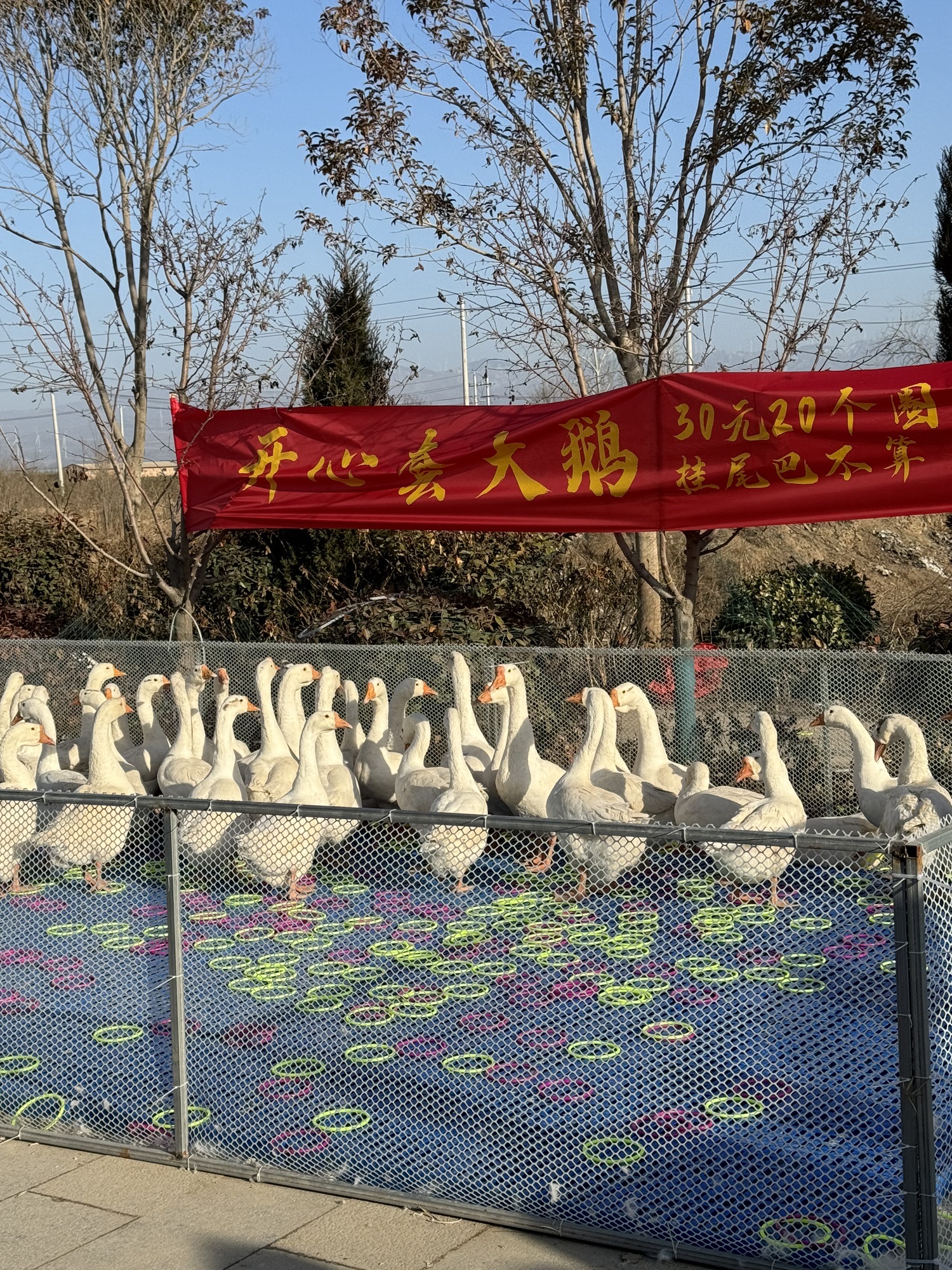 禹王城遗址旅行图片 2