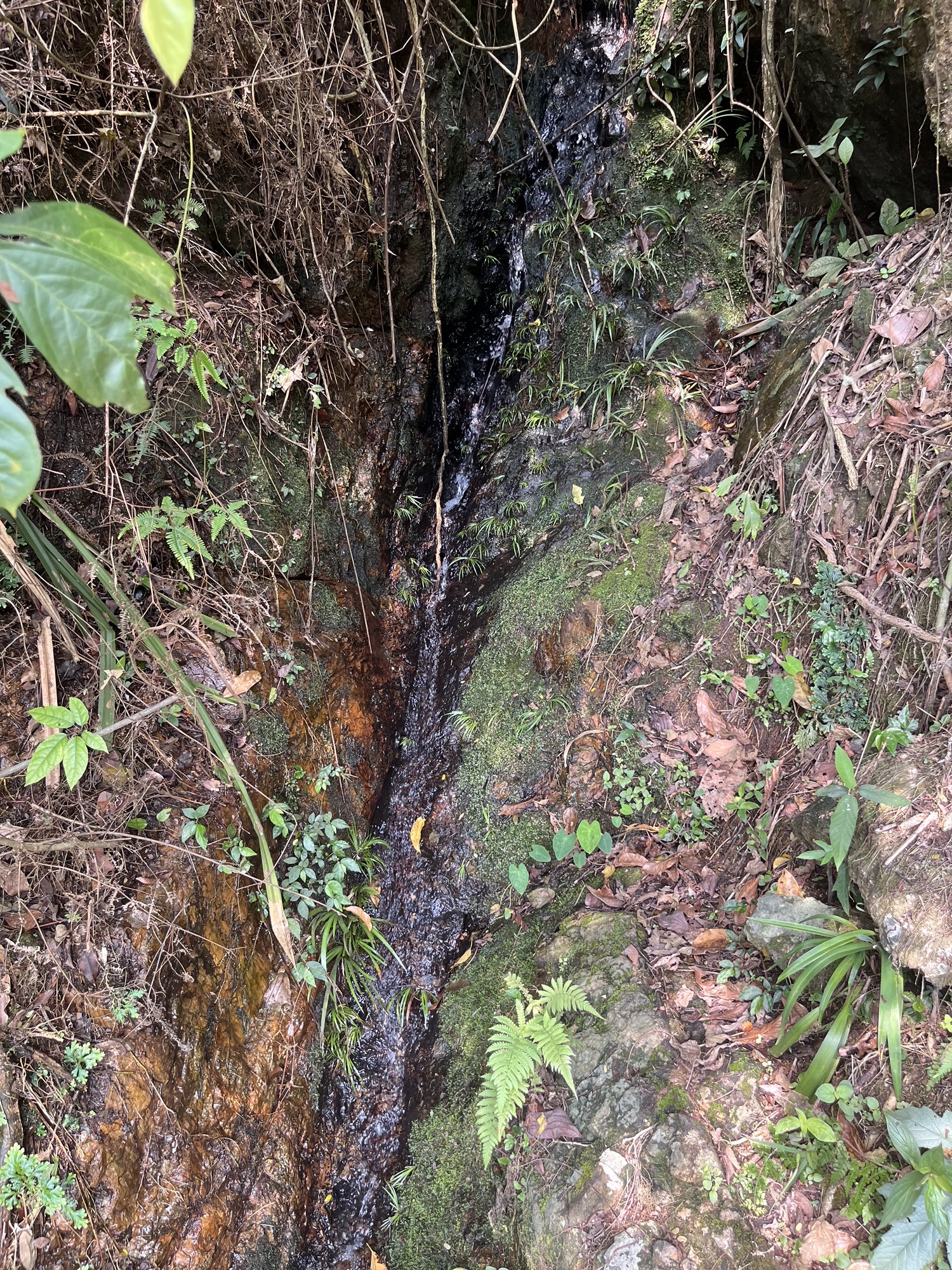 云浮仙菊瀑布旅行图片 3