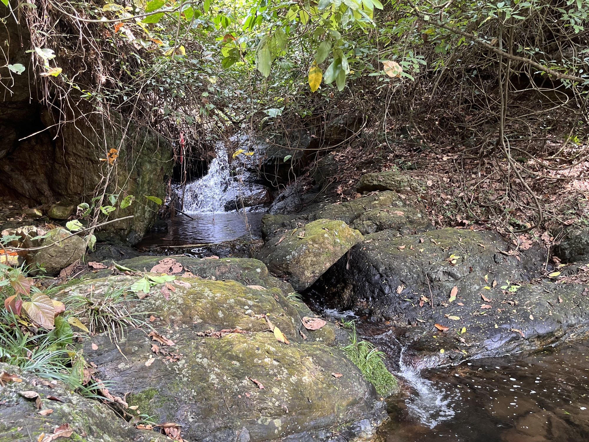 云浮仙菊瀑布旅行图片 1