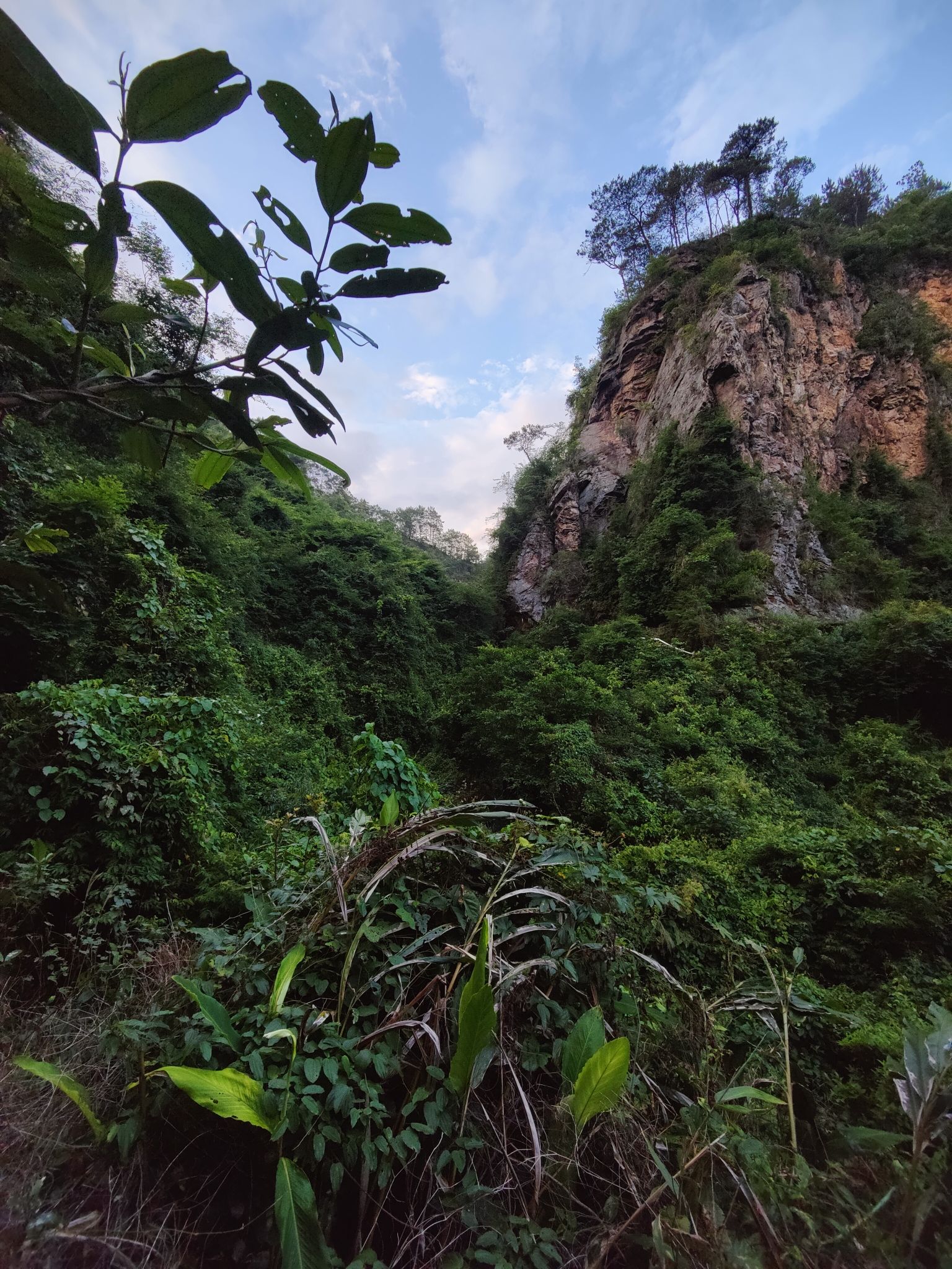 云浮仙菊瀑布旅行图片 2