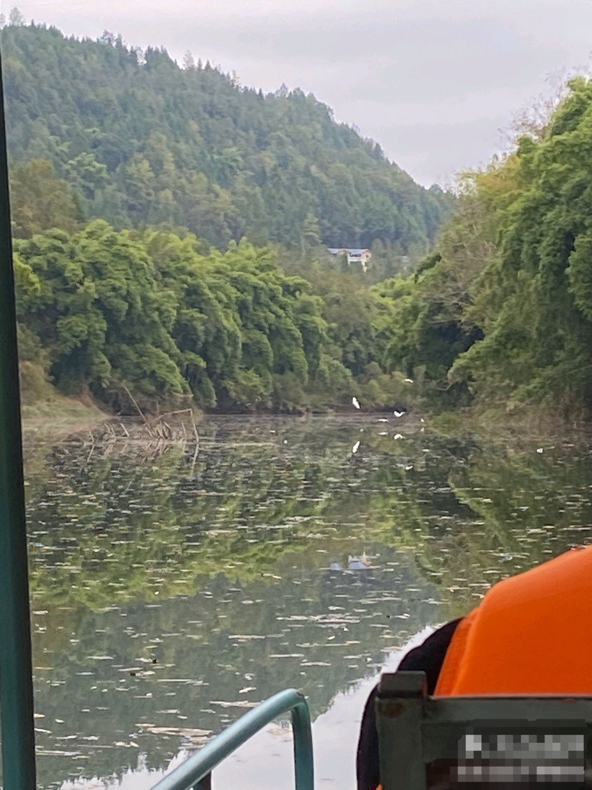 驷马水乡旅行图片 2