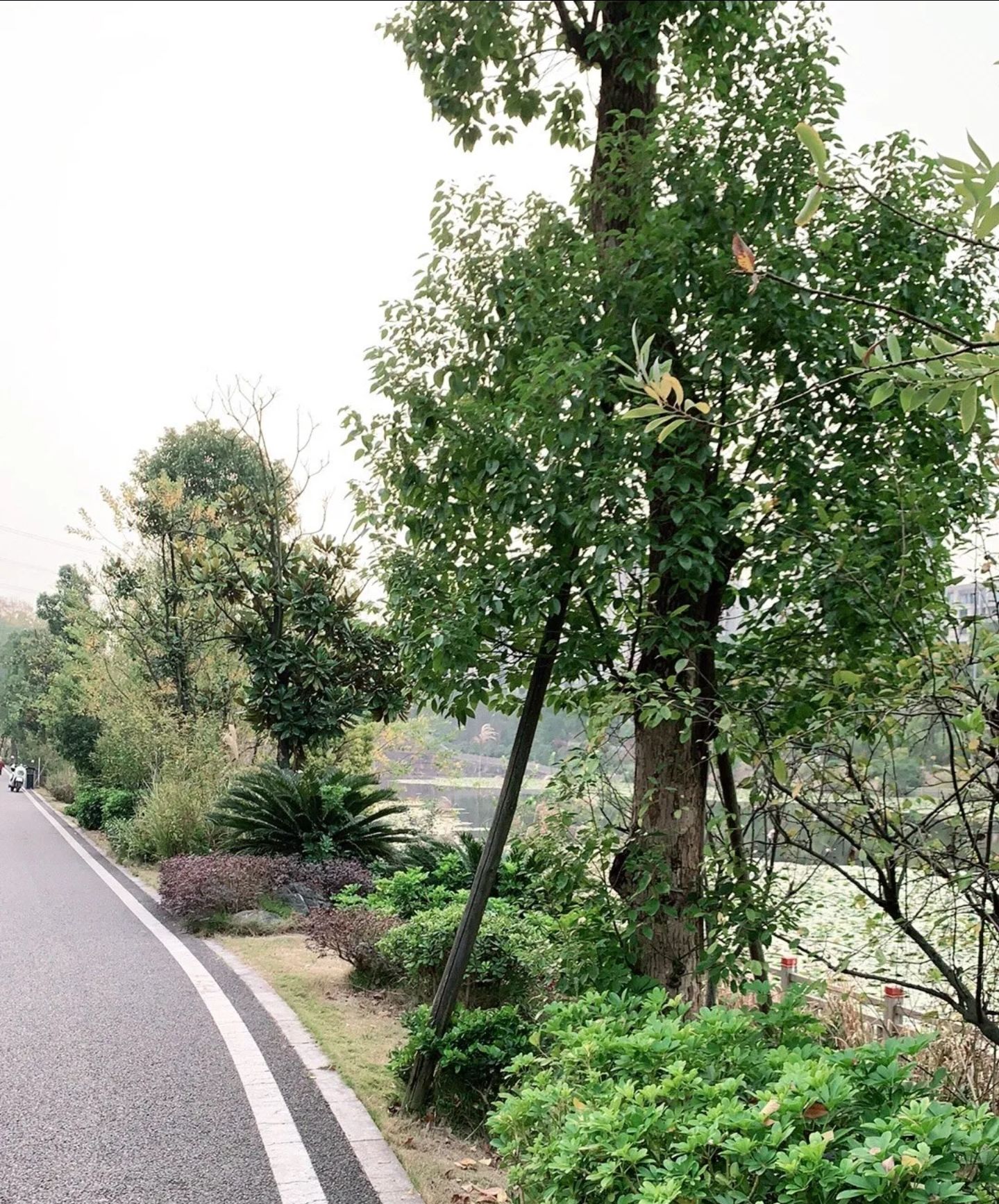 漫水湾公园旅行图片 2