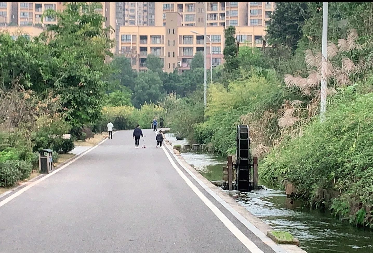 漫水湾公园旅行图片 1
