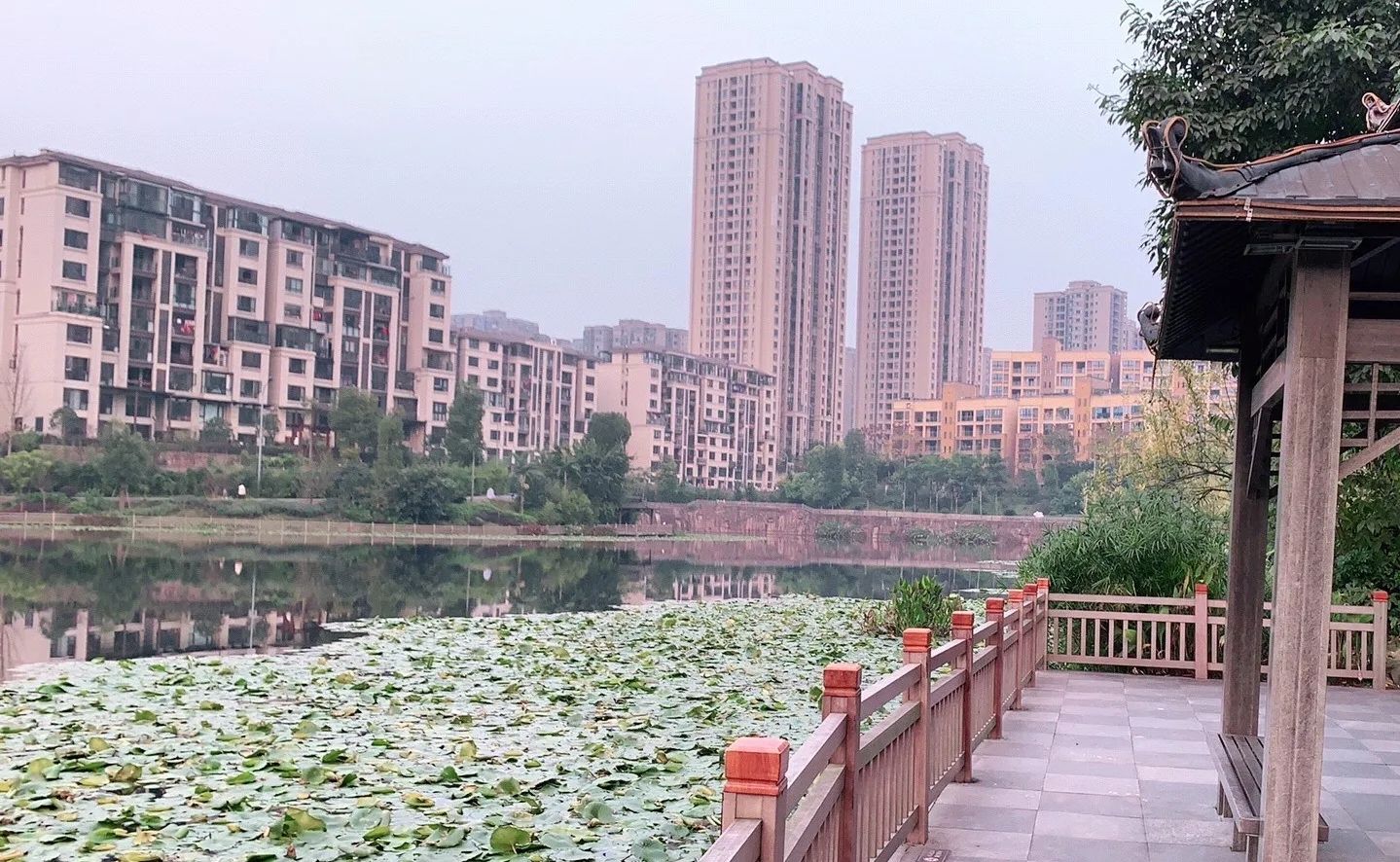 漫水湾公园旅行图片 3