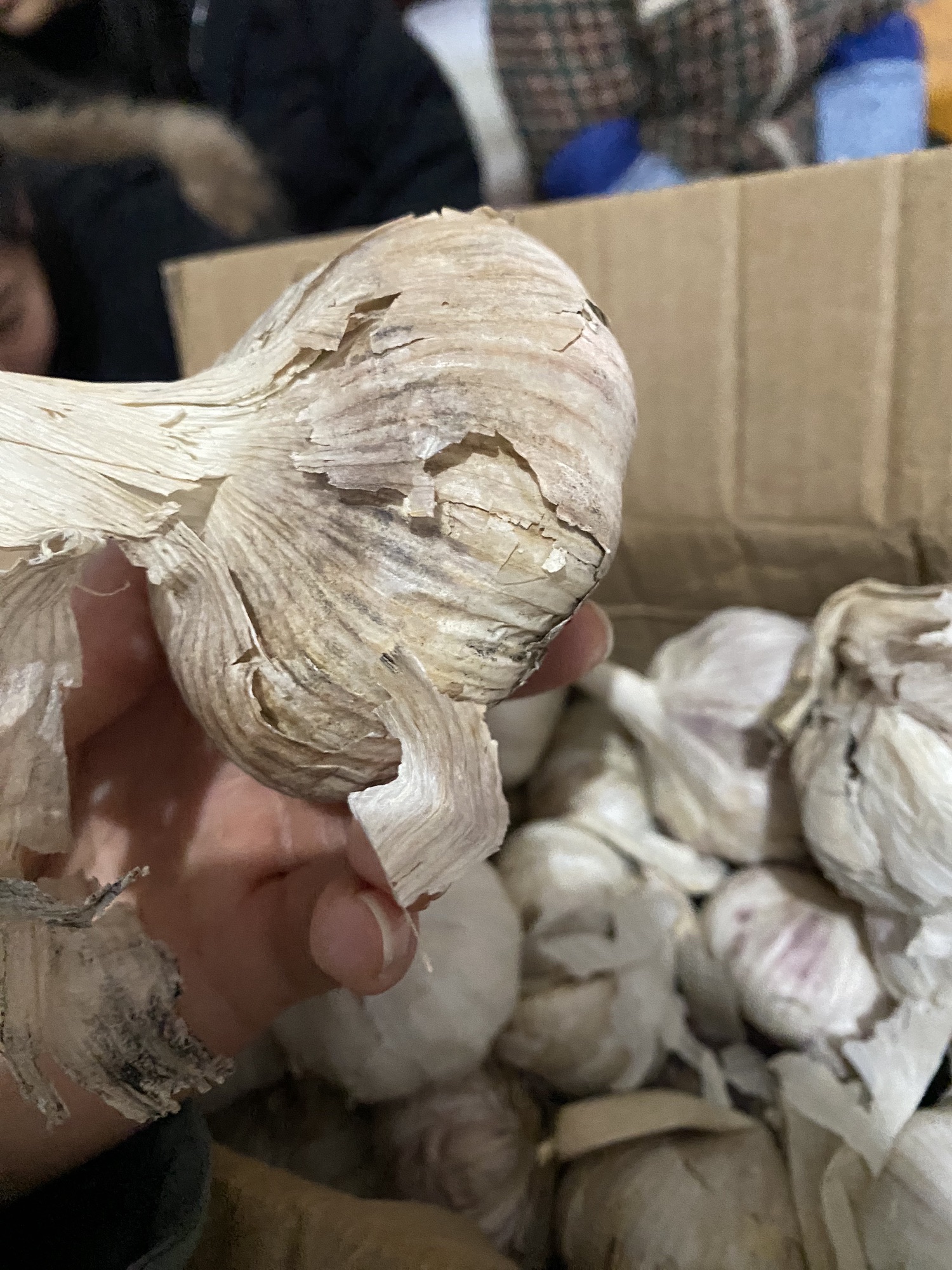 中国供销临泉农副产品批发市场水产区