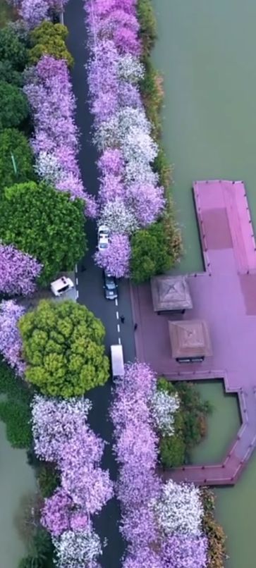 扶沟县湿地公园旅行图片 3