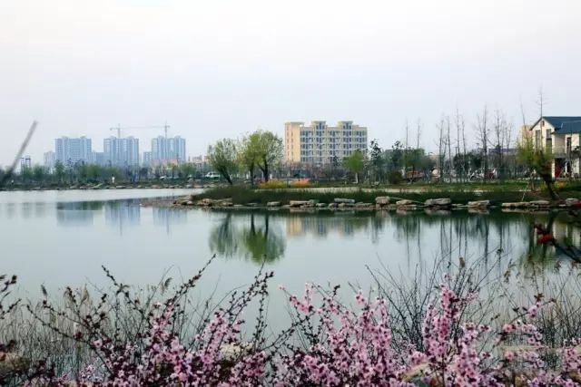 扶沟县湿地公园旅行图片 1
