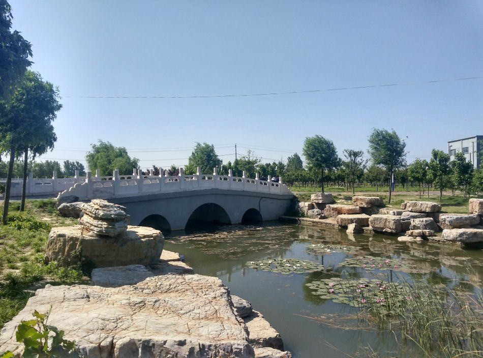 扶沟县湿地公园旅行图片 3