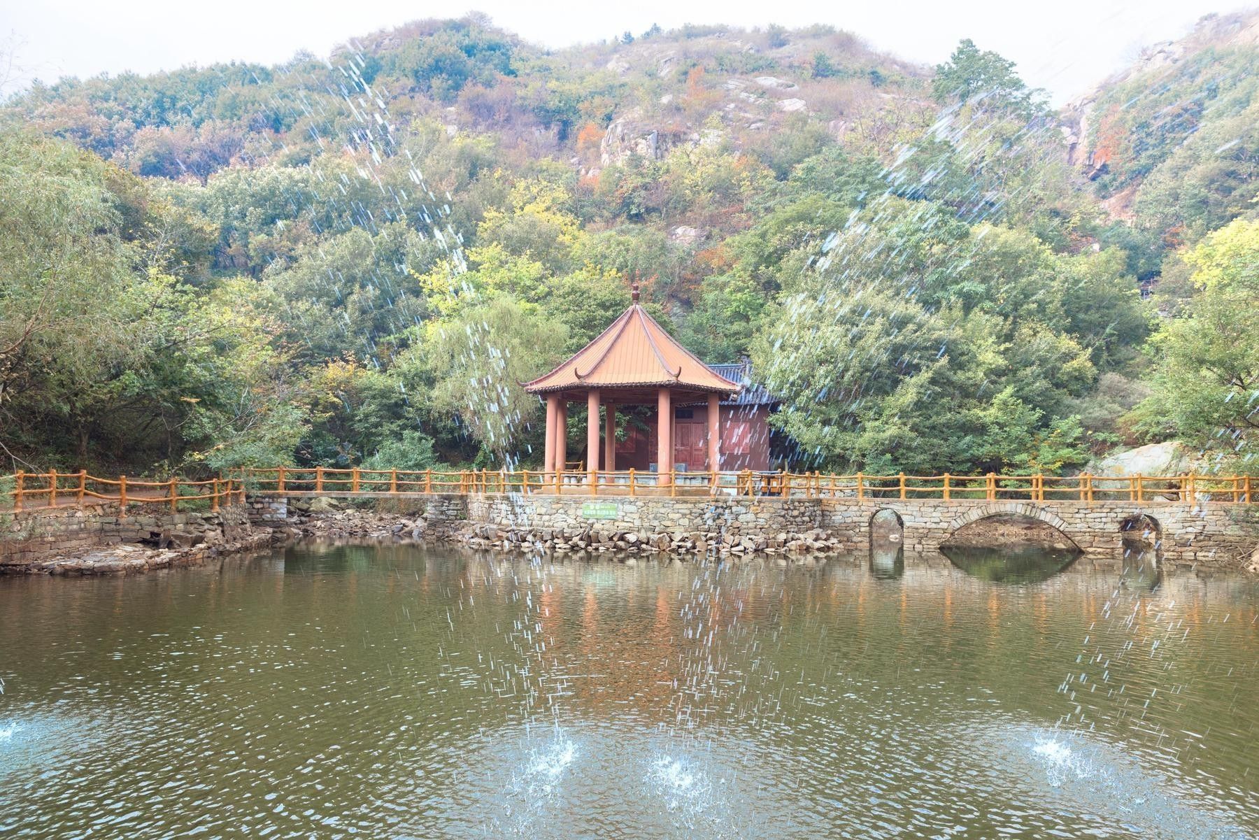 伊园旅行图片 1