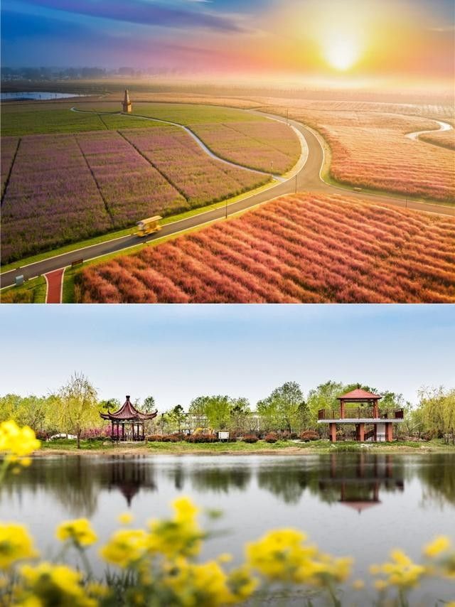 伊园旅行图片 2