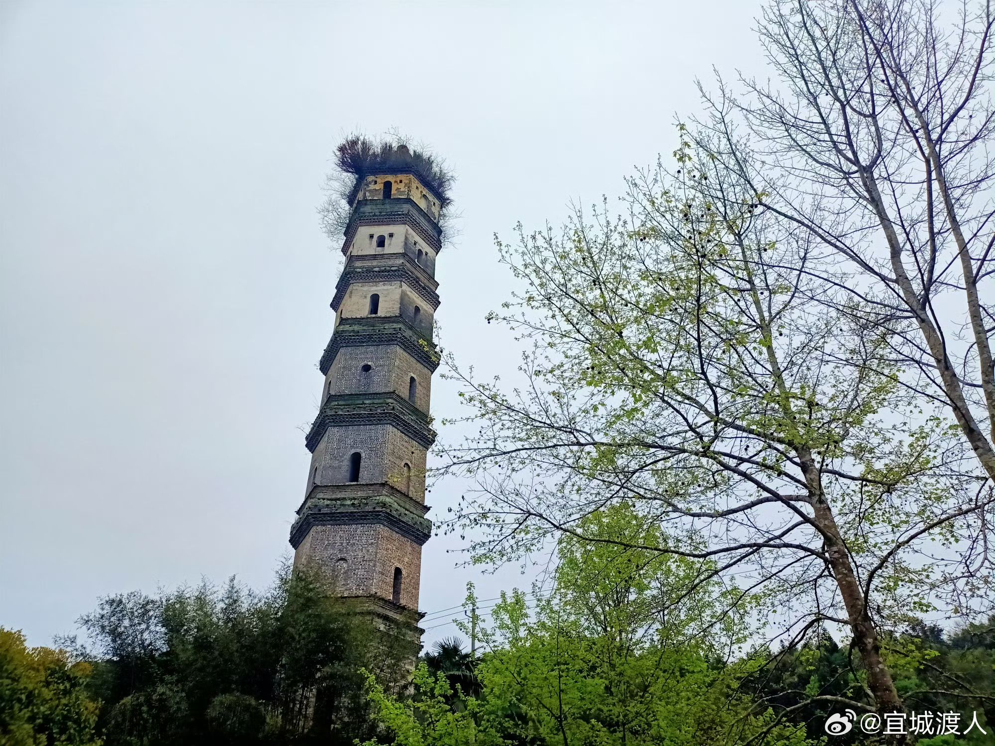 赤桥方氏古塔(东皋塔)旅行图片 2
