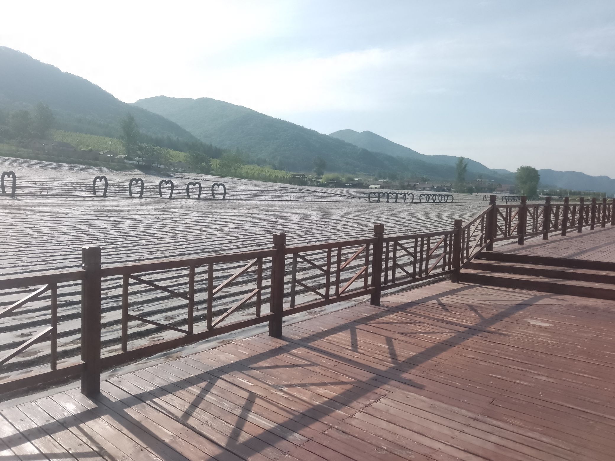 金江花海(暂停开放)旅行图片 2