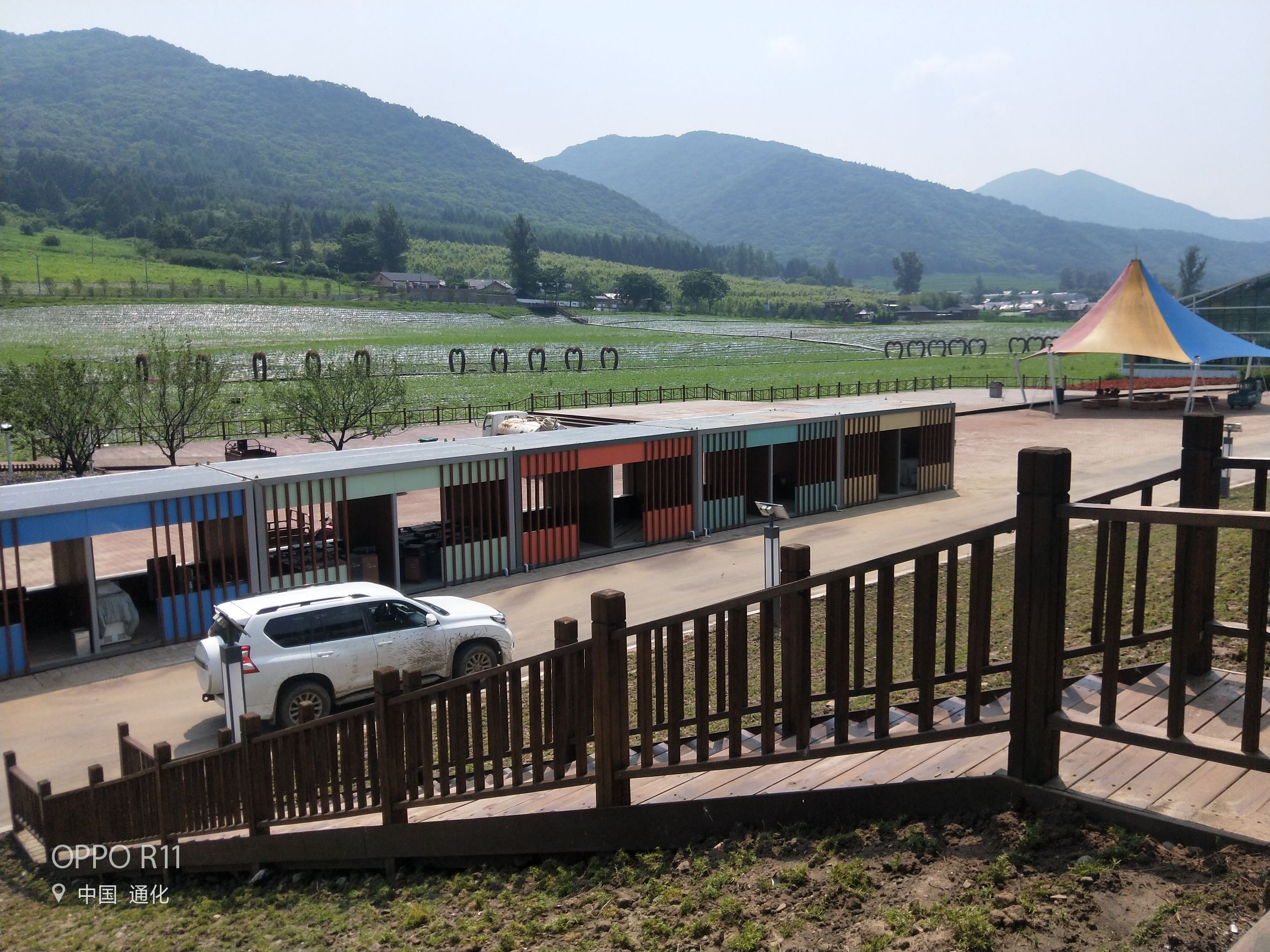 金江花海(暂停开放)旅行图片 3