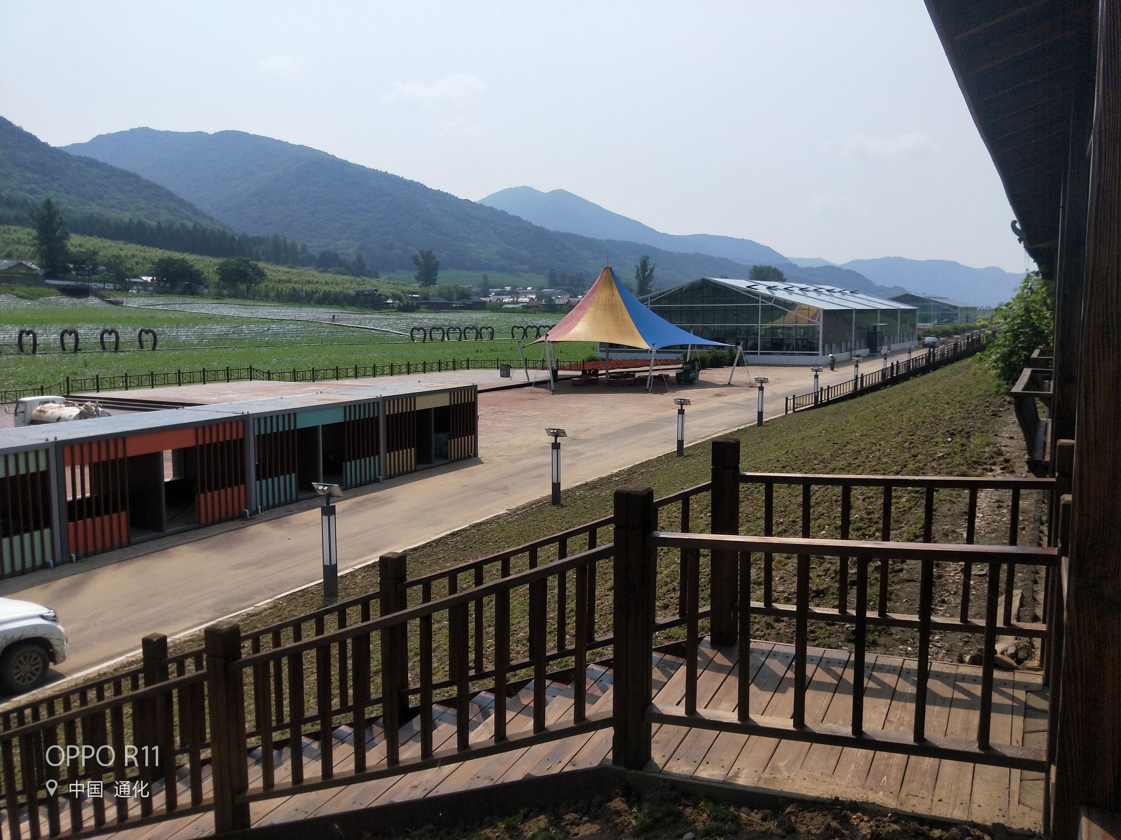 金江花海(暂停开放)旅行图片 2