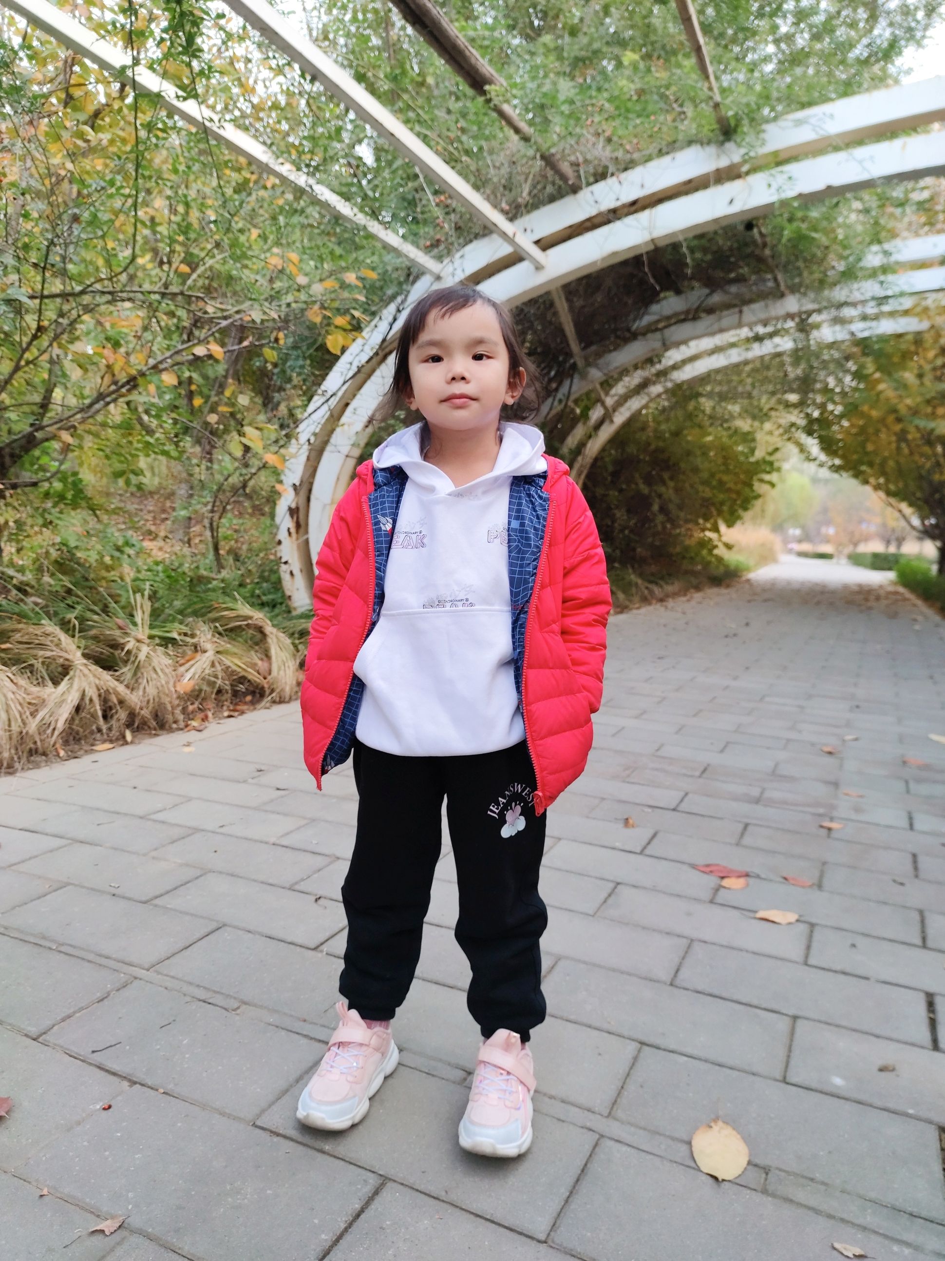 迎宾公园旅行图片 3