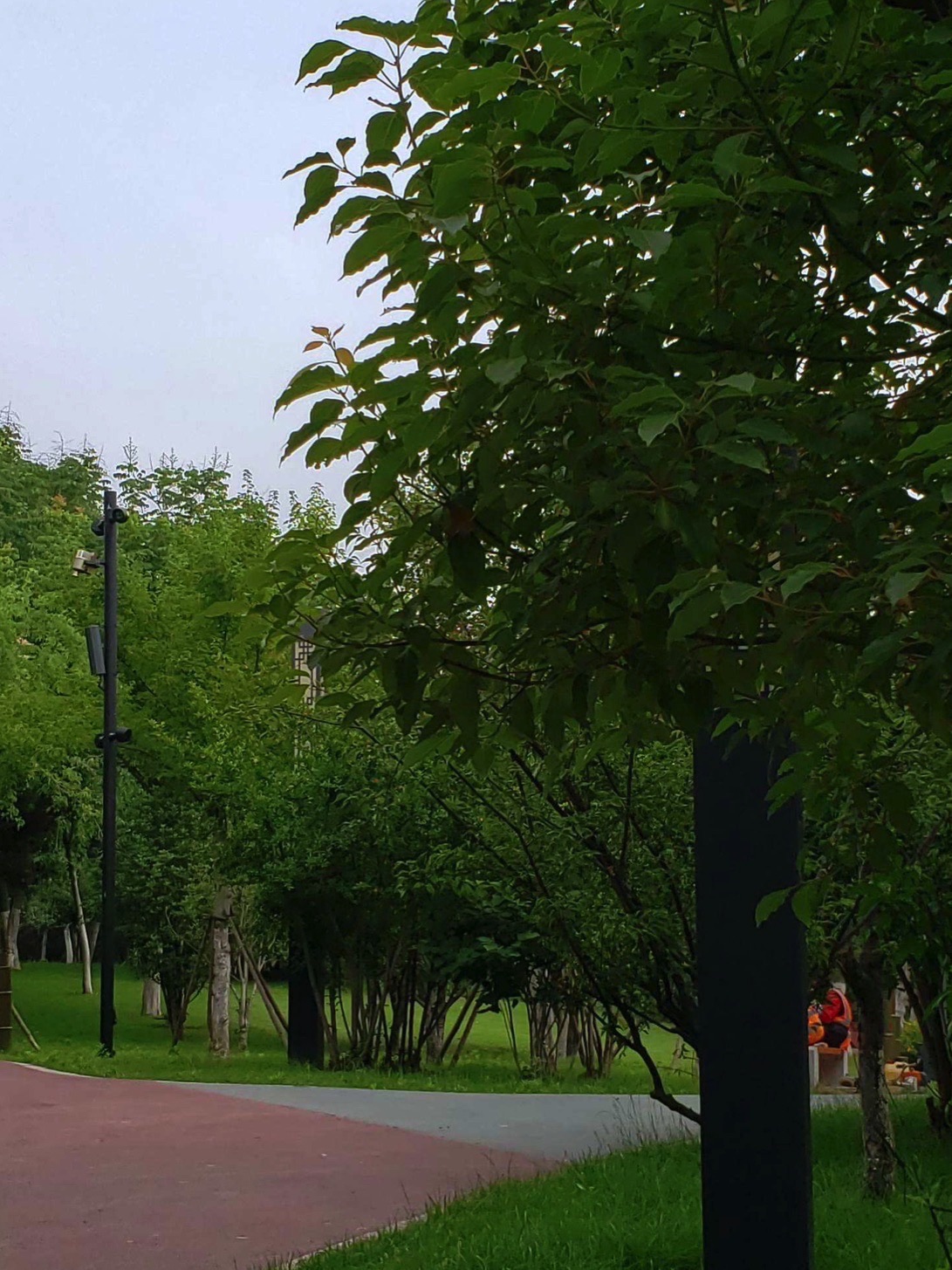迎宾公园旅行图片 2