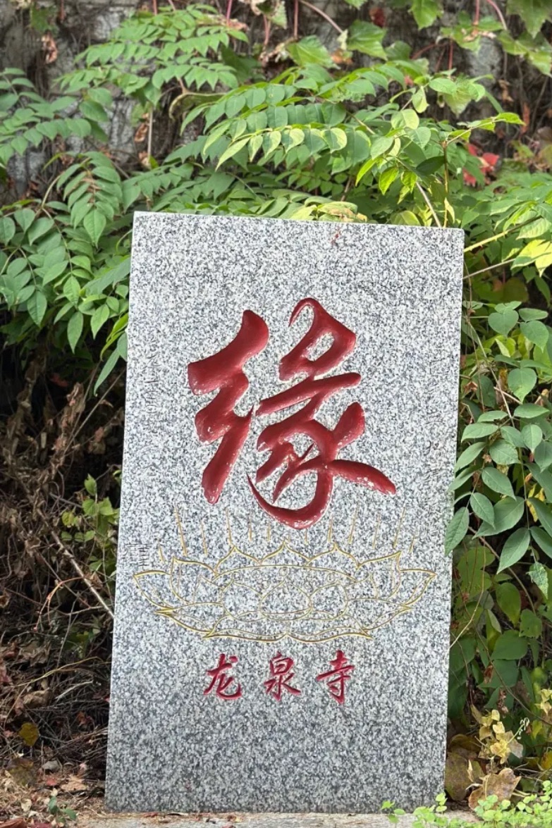 龙泉寺实景照片