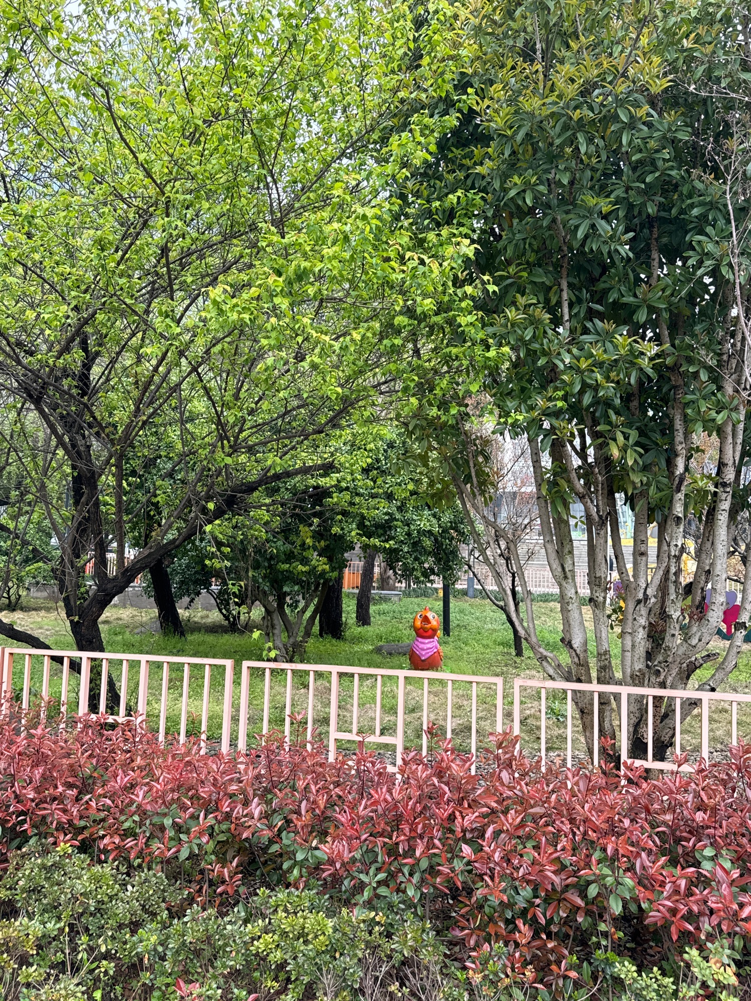 芝士公园