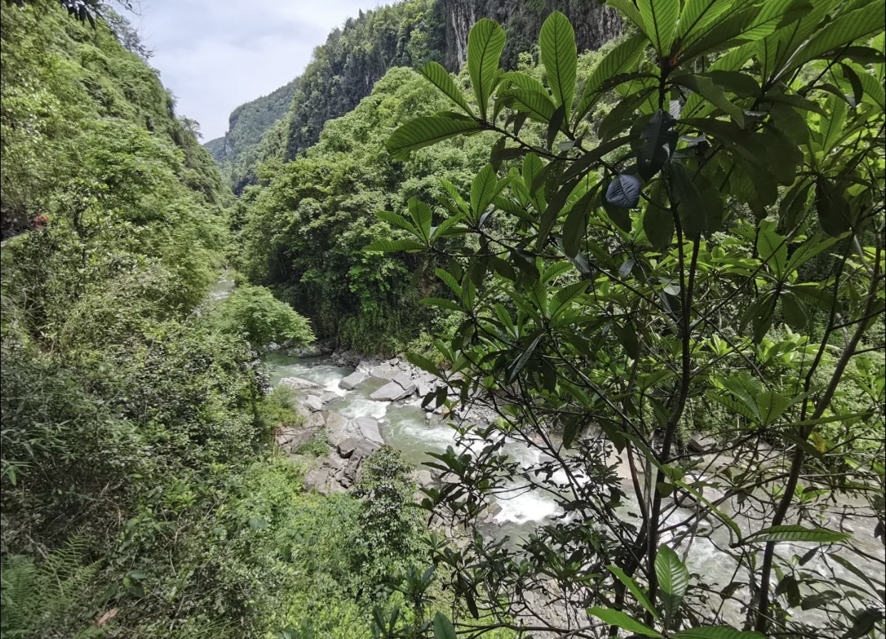 武隆大洞河景区旅行图片 2