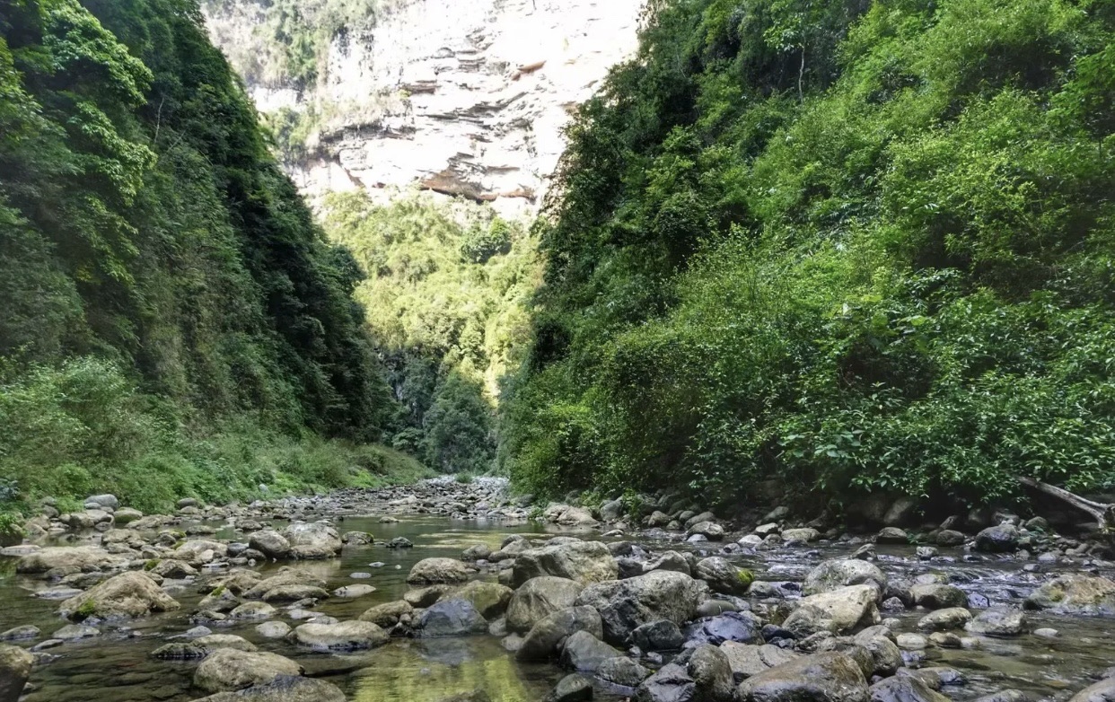 武隆大洞河景区旅行图片 1
