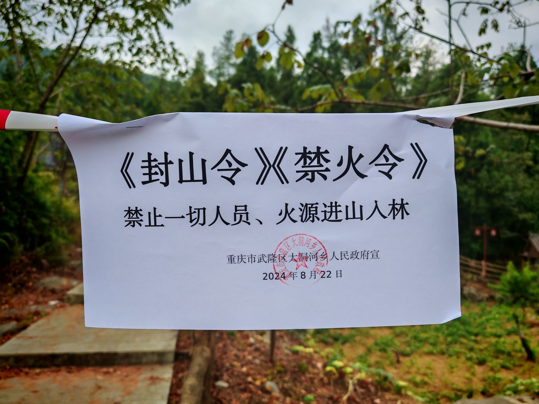 武隆大洞河景区旅行图片 1