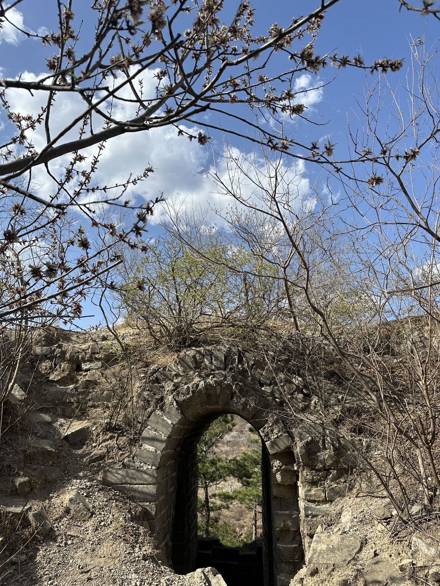 野长城探险点旅行图片 1