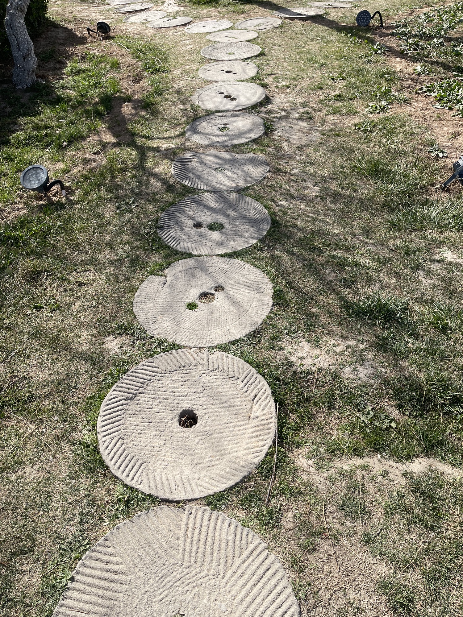 紫荆公园