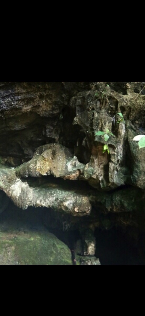 来宾第一岩旅行图片 3
