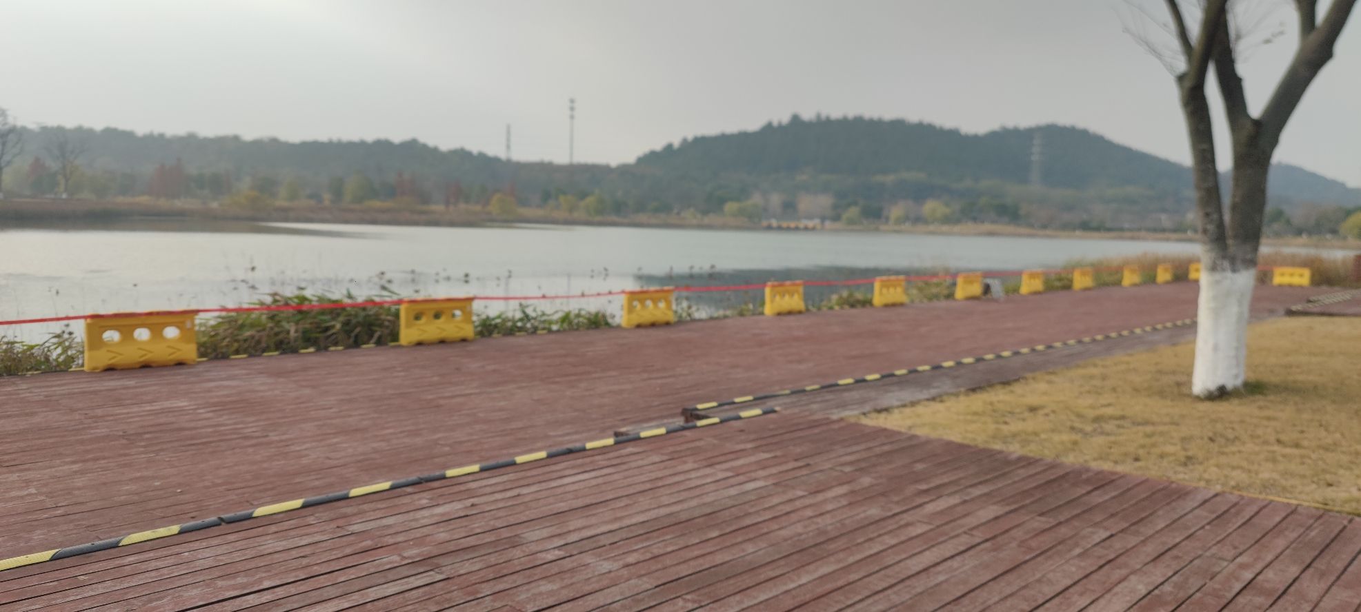 月鹭湖公园旅行图片 3