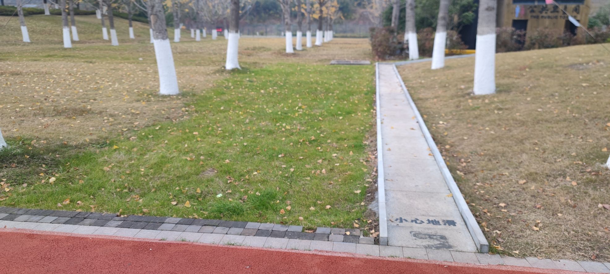 月鹭湖公园旅行图片 1