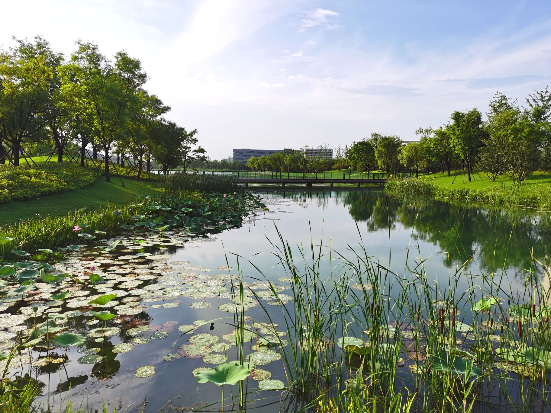 月鹭湖公园旅行图片 2