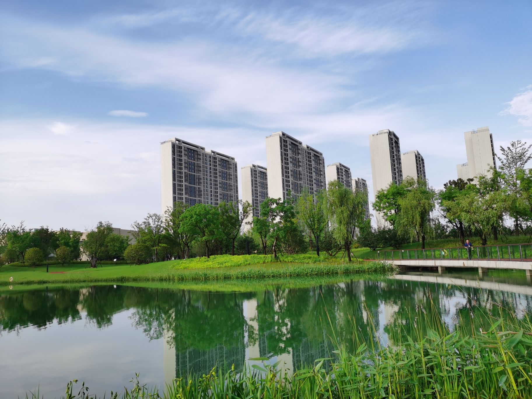 月鹭湖公园旅行图片 1