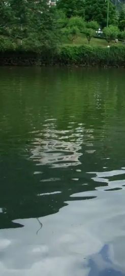 玉湖旅行图片 3