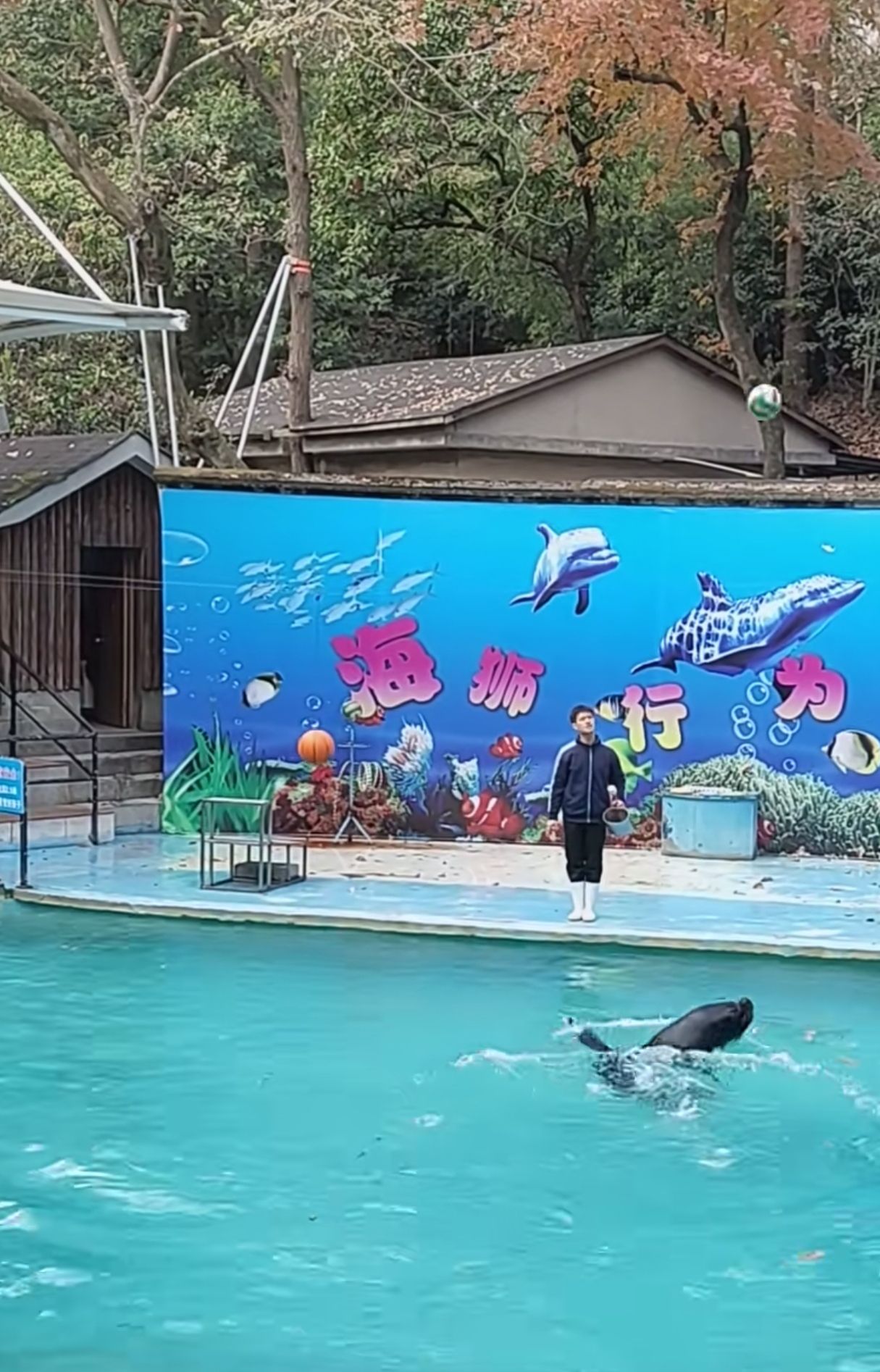 赣州动物园海狮表馆
