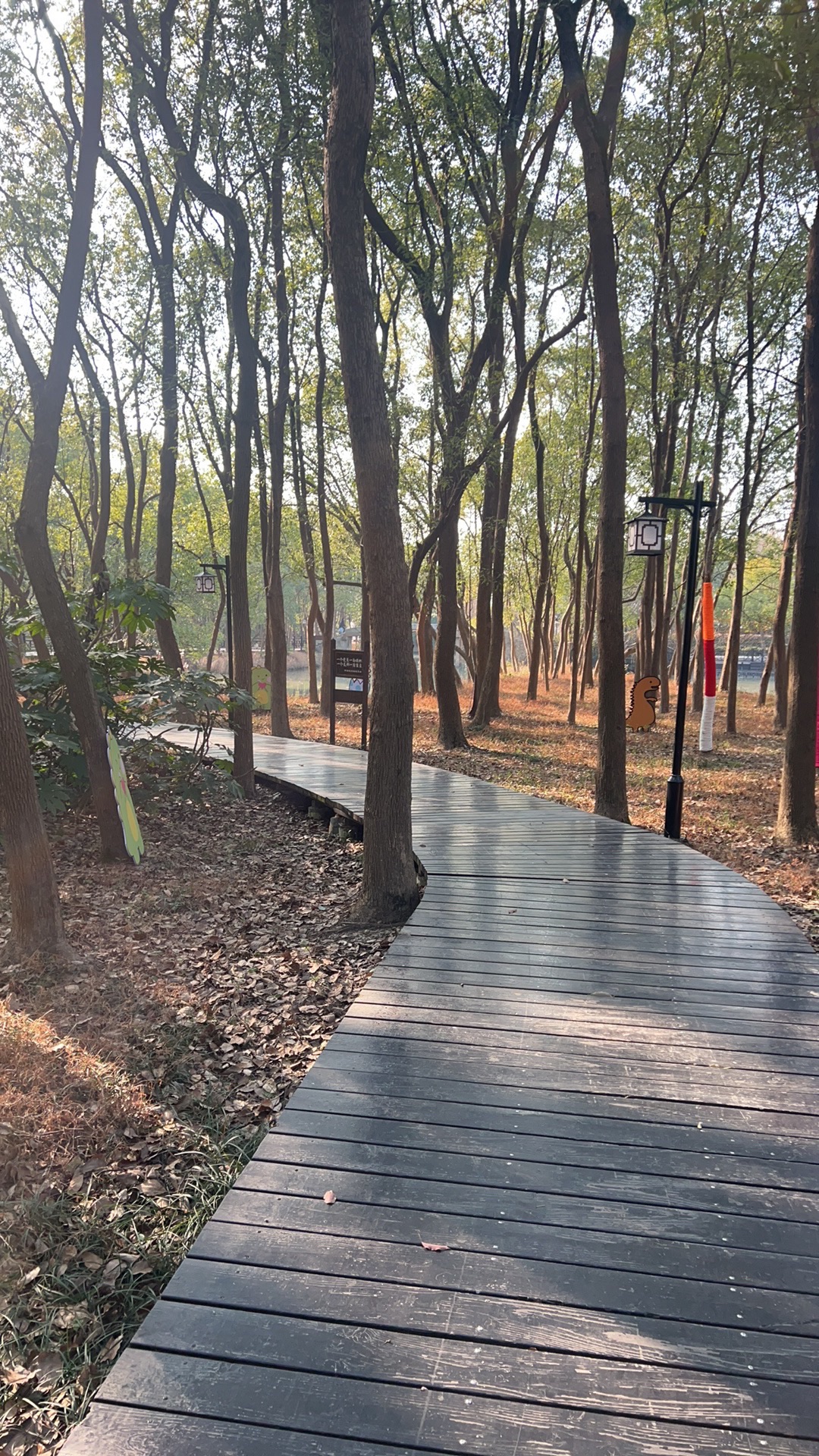 桃源森林公园旅行图片 1