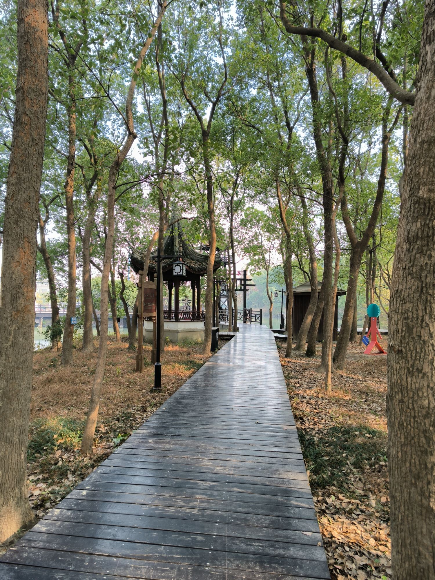 桃源森林公园旅行图片 2