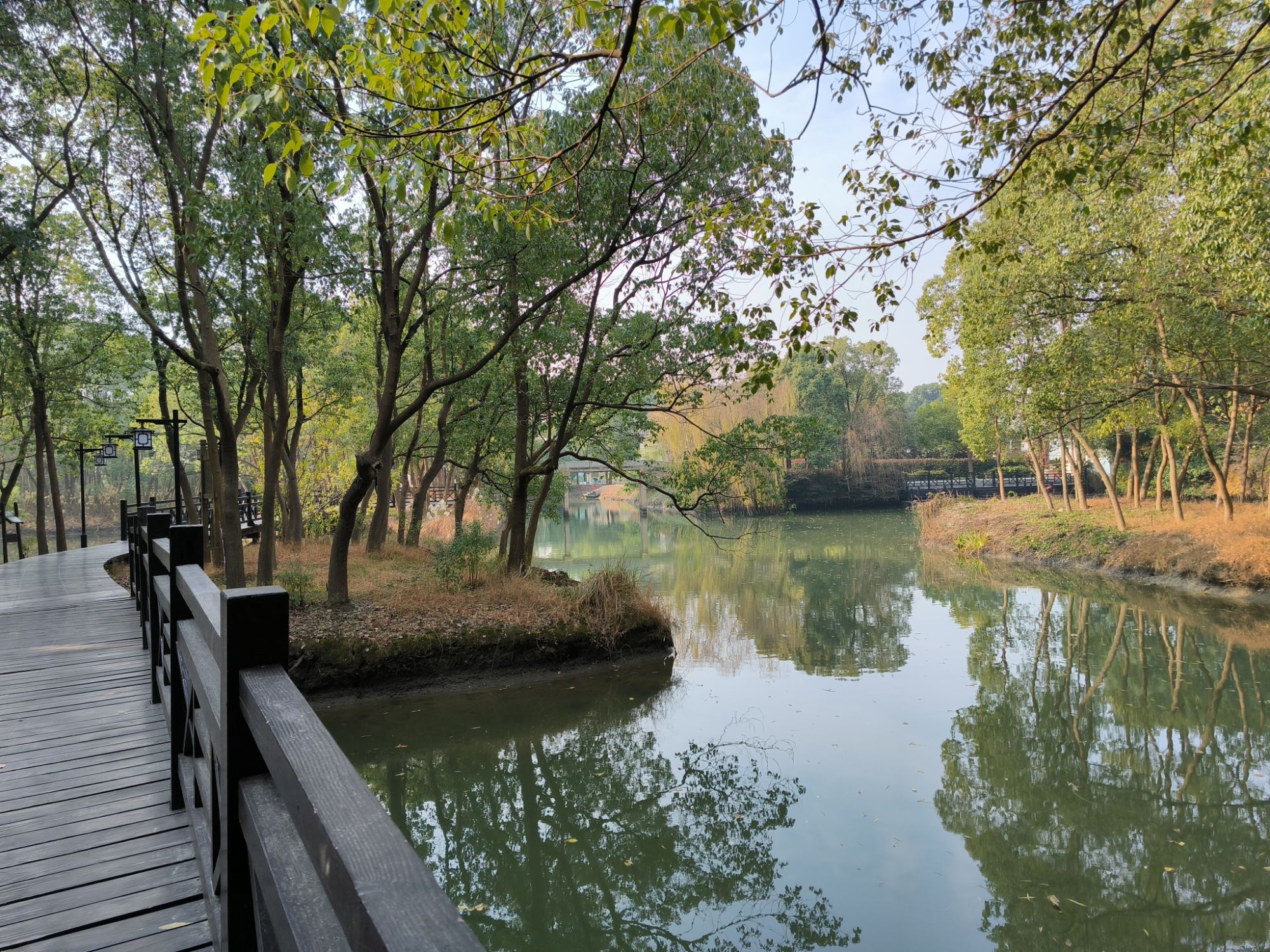桃源森林公园旅行图片 3