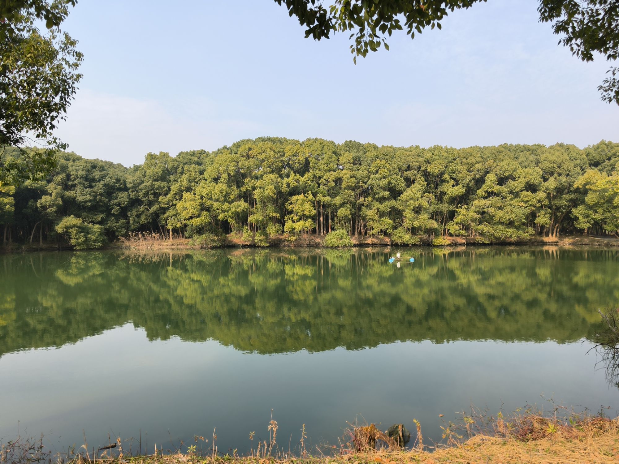 桃源森林公园旅行图片 1