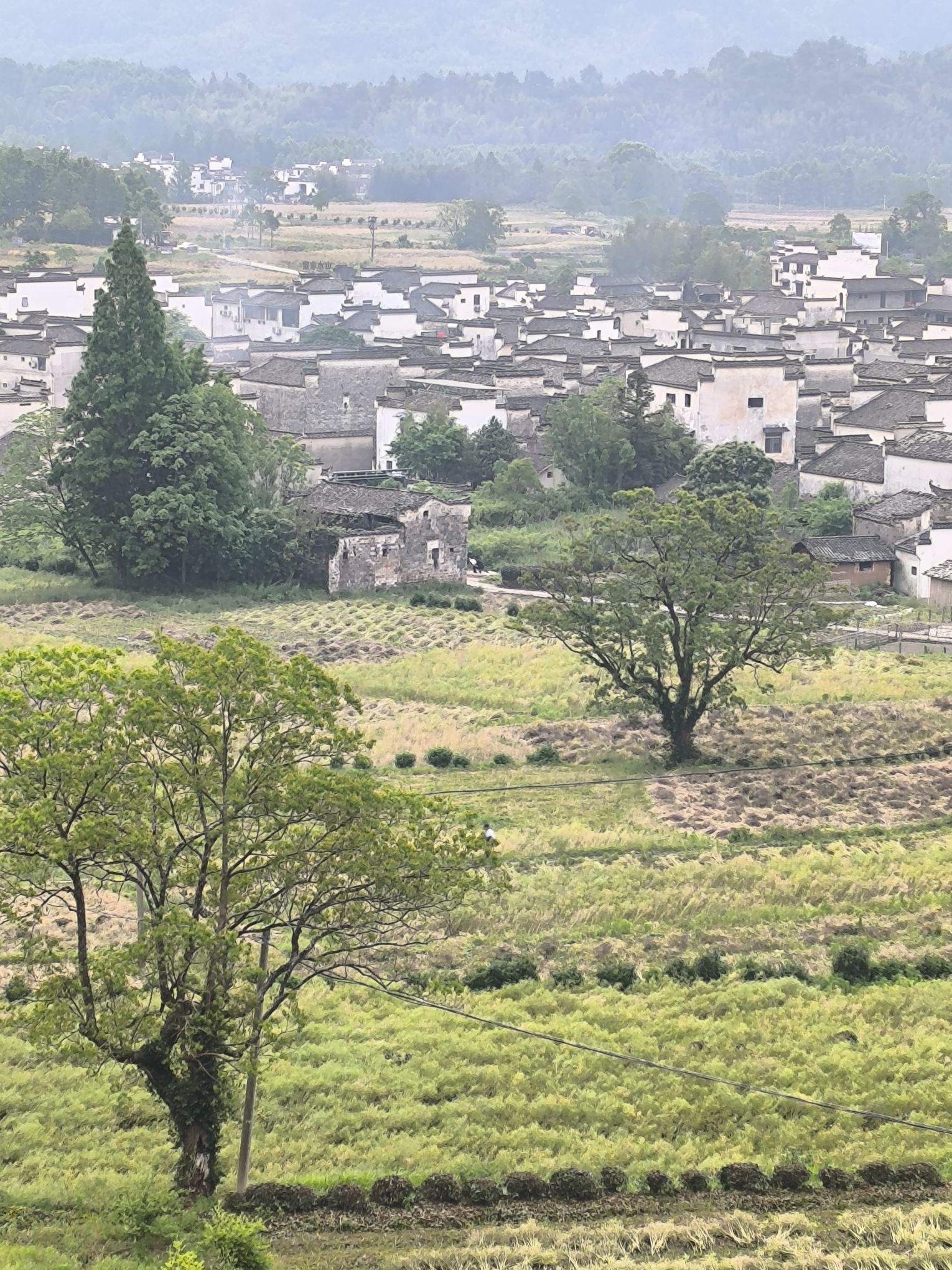 卢村观景平台旅行图片 1
