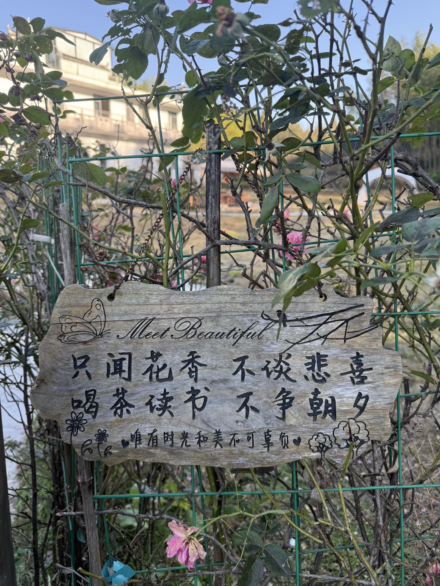 卢村观景平台旅行图片 3
