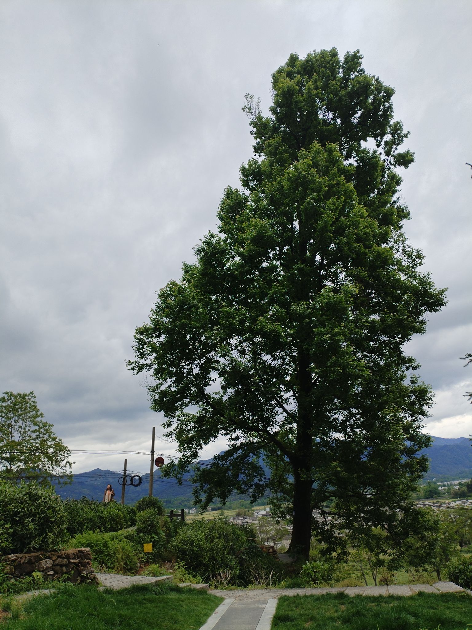 卢村观景平台旅行图片 2