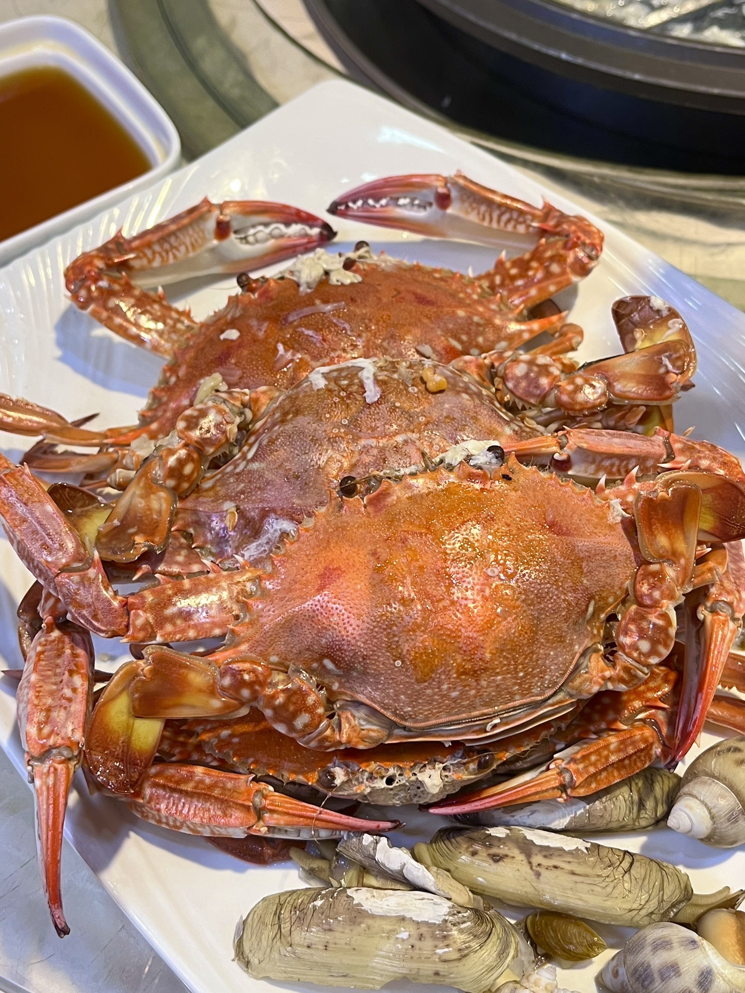 越百海海鲜蒸锅(麻章店)