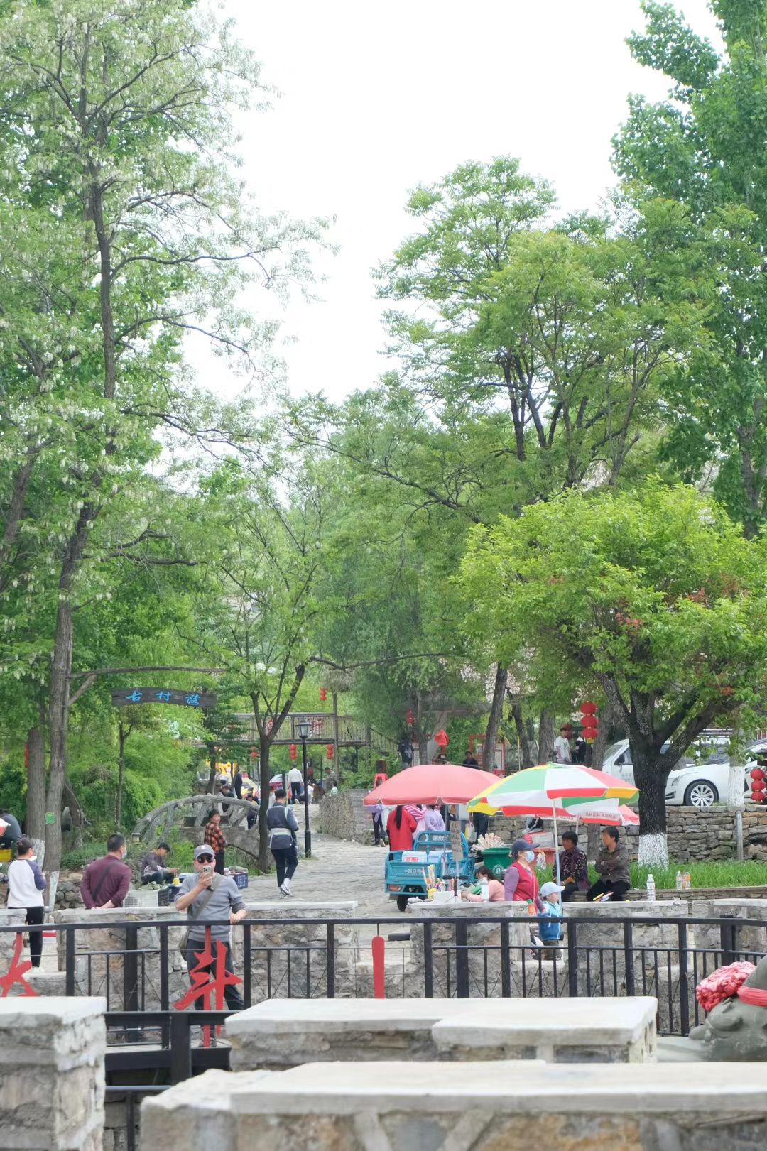 掌平洼乡村旅游景区旅行图片 1