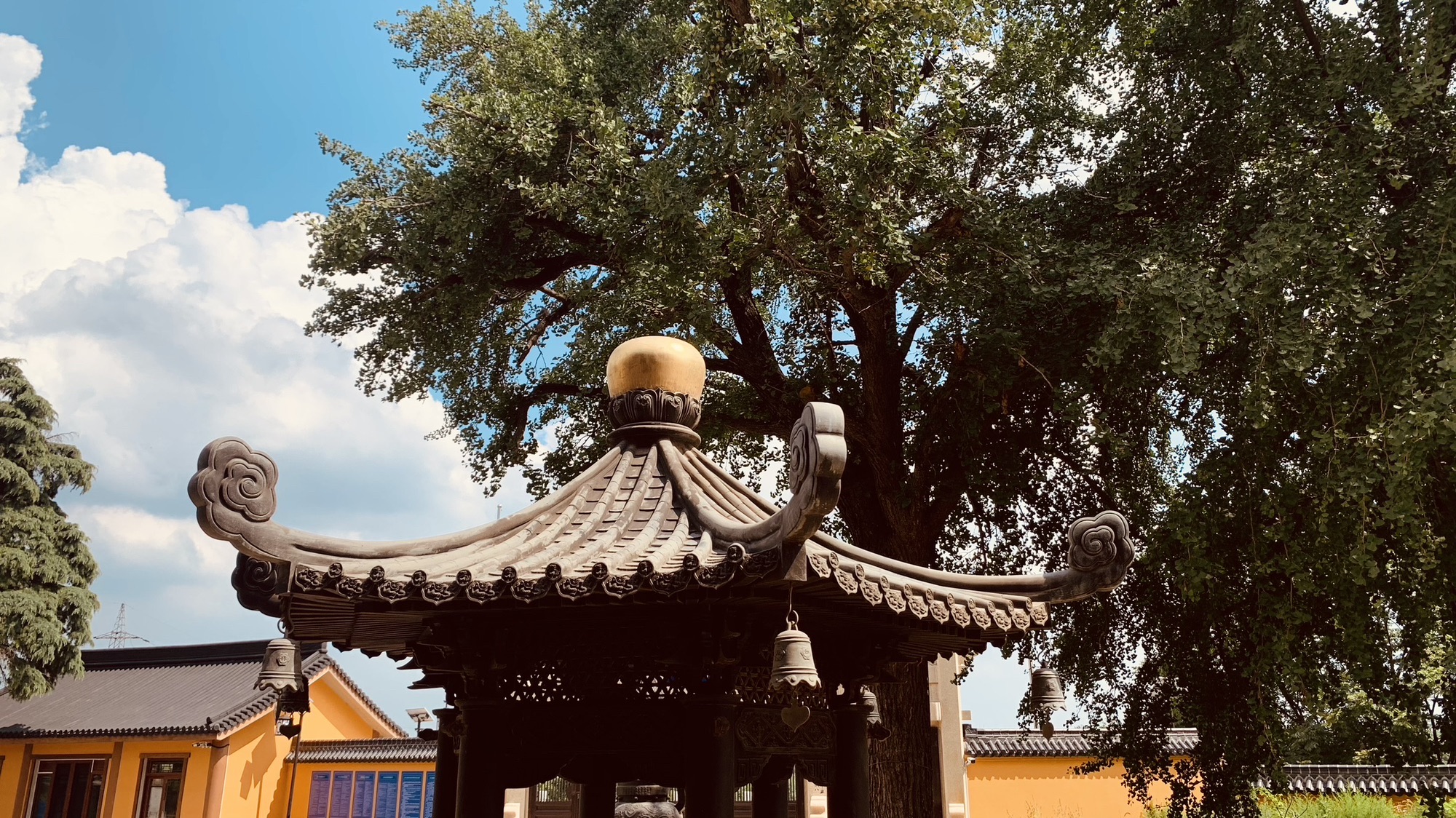 普光寺