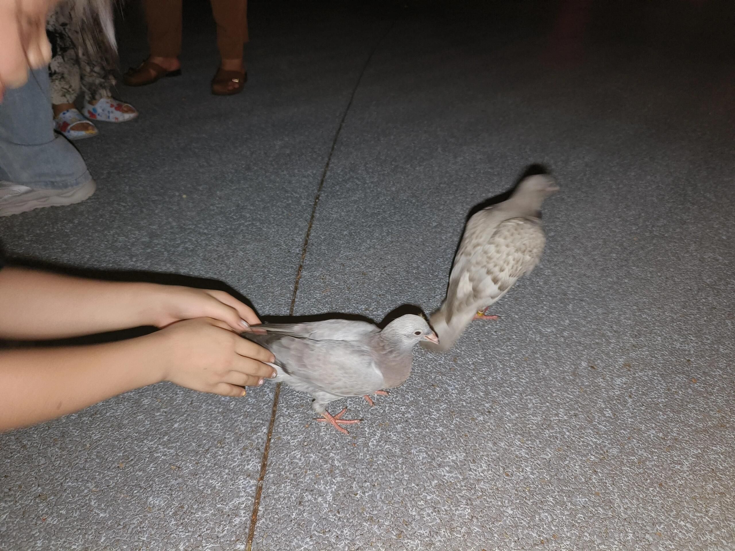 梅峰公园旅行图片 1